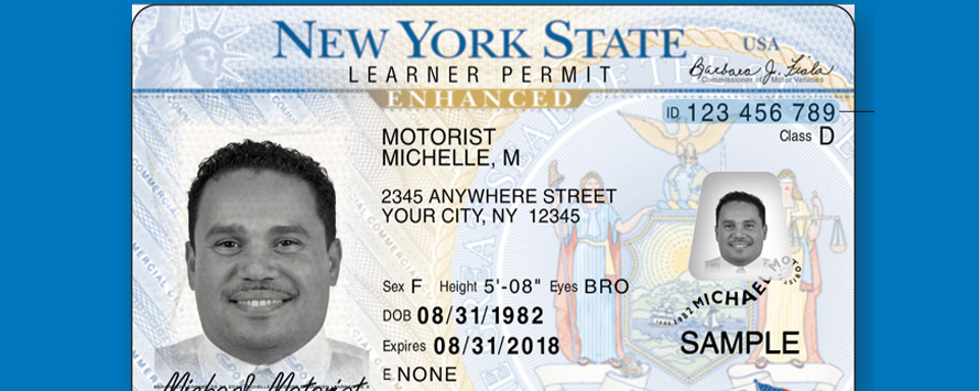 Nys Driver License Document Number - wheelsoftis